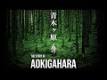 Aokigahara: Japan’s Forest of LIFE \u0026 DEATH