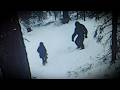 Disturbing New Viral BIGFOOT Recording Caught on Camera — What You’re Seeing Is Real!