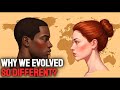 The REAL Reason Europeans And Africans Evolved So Differently | History for Sleep