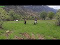 Nomadic Life in Zagros | Farming \u0026 Beekeeping in Nature’s Beauty 🌿🍯