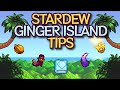 13 Ginger Island Tips for Stardew Valley 1.6!