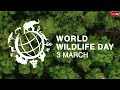 World Wildlife Day  :Let's sustaining all life on earth!!!