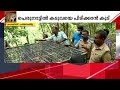 കടുവയെ പിടിക്കാന്‍ പോത്തിന്‍ തല; ആകാംക്ഷയോടെ നാട്ടുകാരും വനംവകുപ്പും | Tiger | Pathanamthitta
