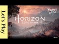 Horizon Zero Dawn (PC Ultra Hard Run) - part 20 [E20]