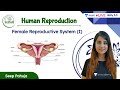 Female Reproductive System - 1 | Human Reproduction | L3 | NEET 2022/23 | Seep Pahuja