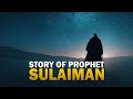 STORY OF SULAIMAN AS