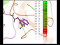 Predicting the Effect of Mutation on Protein Stability and Binding