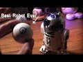 How I Made R2D2 Walk on 2 legs + Sphero Mini...The Beez knees.