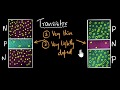 Transistor working | Class 12 (India) | Physics | Khan Academy
