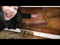 Piano Lesson 006: How Pianos Work! (A Look Inside the Piano - The Parts of the Piano)