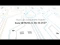 Netezza Migration Toolkit