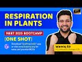 Respiration in Plants - NEET-UG Bootcamp Lecture - One-Shot Revision Lecture by Wamiq Sir [Hindi]