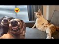 ULTIMATE Cat and Dog Videos 2026  | FUNNIEST Pets