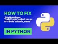 How to fix  AttributeError: 'DataFrame' object has no attribute 'column_name' in Python