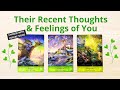 💋THEIR RECENT THOUGHTS AND FEELINGS OF YOU 💐PICK A CARD 🌹 LOVE TAROT READING 🌺 TWIN FLAME 🌈 SOULMATE
