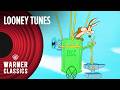 Looney Tunes | Wile E. Coyote Takes On the Road Runner | Compilation | Warner Classics
