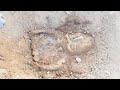 What We Discovered Buried Shocked The Whole World #Video History #Youtube #video #Viralvideo