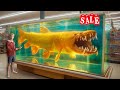 I Bought One of the Rarest Fish in the World...