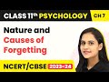 Nature and Causes of Forgetting - Human Memory | Class 11 Psychology Chapter 7
