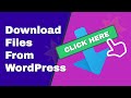 How to Add a Downloadable File from Anywhere in WordPress