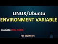 How to set environment variable in Linux | How to set path in Linux