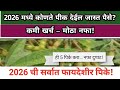 2026 मध्ये मालामाल करणारी टॉप 5 पिके | कमी खर्चात जास्त नफा 🙌