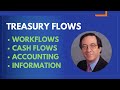 What are Treasury Flows? Workflows, Cash Flows, Accounting \u0026 Information Flow | [Guide]