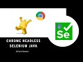 Selenium Chrome Headless