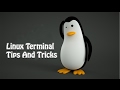 5 Linux Commands That You Must Know
