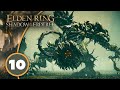 Let's Play Elden Ring Shadow of the Erdtree Part 10 - The Scadutree Avatar