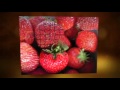 Texture in Art