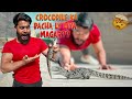 CROCODILE KA BACHA LY LIYA MAGAR?🤯 | SYED FAHAD | THE FUN FIN