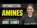 Amines 12 One Shot | NCERT Full Revision | Organic Chemistry | VIJETA 2026