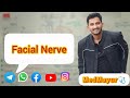 Facial Nerve | Part 2 | 1080p | MedMayur MBBS