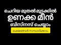 ഉണക്ക മീൻ ബിസിനസ് ചെയ്ത് ലക്ഷങ്ങൾ ഉണ്ടാക്കാം|  How to start dry fish business? 