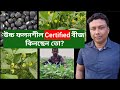 উচ্চ ফলনশীল Certified বীজ কিনছেন তো? / Summer Season's Blackgram Best Variety