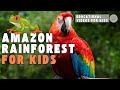 Amazon Rainforest for Kids | Educational Videos for Kids | Wiz World Wonders
