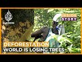 Why is the world losing its forests? | Inside Story