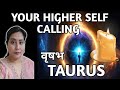 TAURUS ✨️ वृषभ 🪷 YOUR HIGHER SELF CALLING |TAROT READING |TIMELESS ✨️🎁🎉