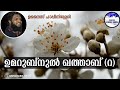 153 ഉമറുബ്നുൽ ഖത്താബ് റ ⧸ തറാവീഹ് ക്ലാസ്സ്‌ ⧸ റമദാൻ ക്ലാസ്സ്‌ ⧸ Ramadan ⧸ ramzan ⧸ unaispappinisseri