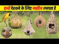 ताजमहल भी फ़ैल है इस घोंसले के सामने | Most Beautiful Bird Nests in the World