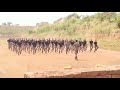 Asf Training video cammondo training