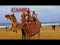 Golden Beach Puri with Family | Sea Bath, Horse \u0026 Camel Ride, Local Market Tour | Roaming Routes