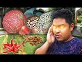 Cheap and Natural - Best Flowerhorn food