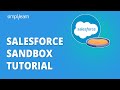 Salesforce Sandbox Tutorial | Salesforce Training Videos For Beginners | Simplilearn