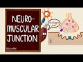 Neuromuscular Junction | NMJ | Neuromuscular transmission | Myology | Nerve Muscle Physiology