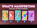 What's Manifesting For You In This Moment? (energy check)⏐PICK A CARD