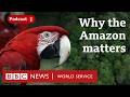 The Amazon: Why it matters to our climate - The Climate Question podcast, BBC World Service