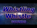 ▶️ Whistling Sound Effects. Help To Train Your Bird To Whistle. 12 Hours. 🌏