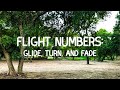 Flight numbers: Glide, Turn, and Fade | What do they mean? | Disc Golf
